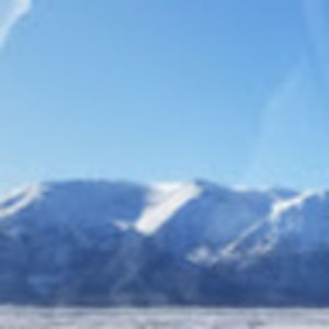 Meet your Posher, Tyisha